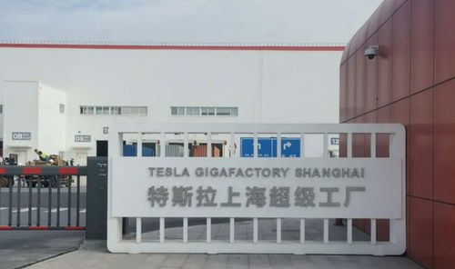 馬斯克中國行觸動印度神經 印政界怒批“不可原諒”